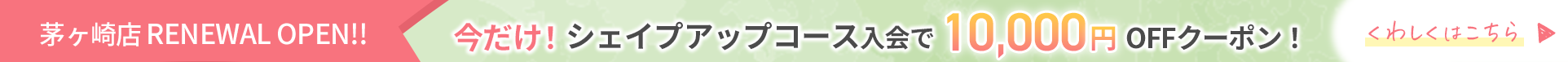 リニューアルキャンペーン！体験500円＆入会金無料！