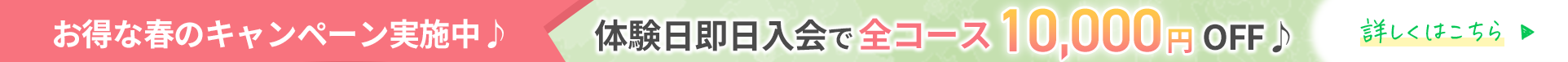 春限定キャンペーン実施中！