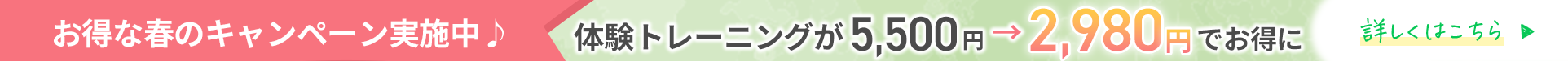 春限定キャンペーン実施中！