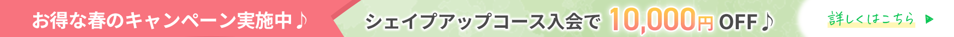 春限定キャンペーン実施中！