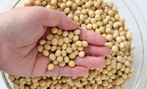 大豆ダイエット完全ガイド：効果の理由・注意点・簡単レシピを紹介！